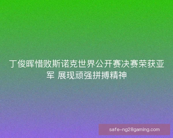 丁俊晖惜败斯诺克世界公开赛决赛荣获亚军 展现顽强拼搏精神