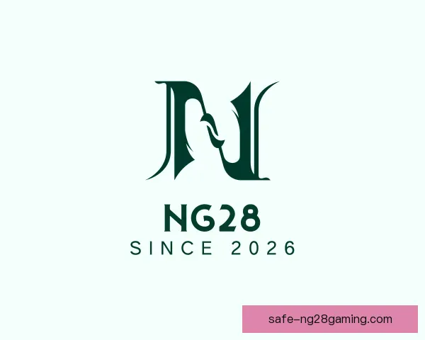 了解NG28